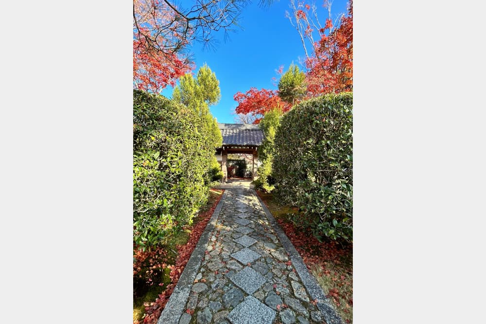 源光庵参道の写真