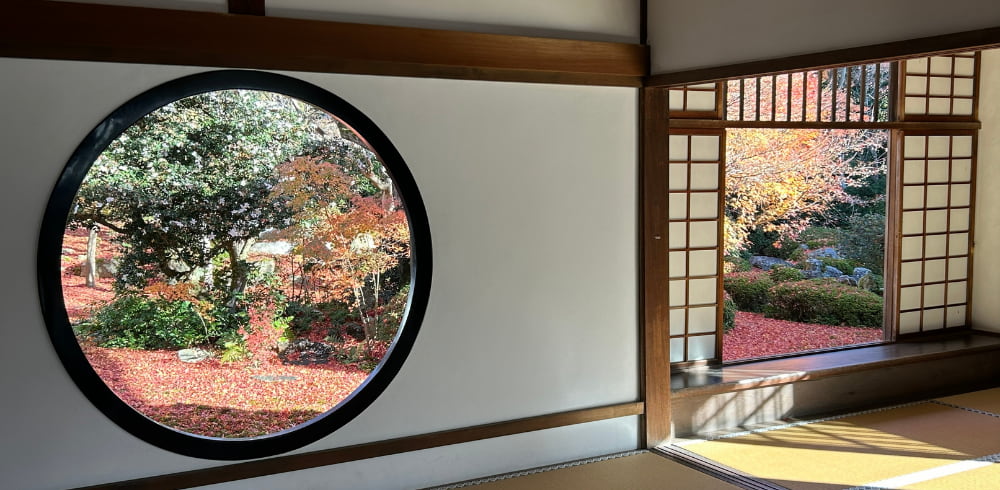 源光庵・窓から見える紅葉の絨毯の写真