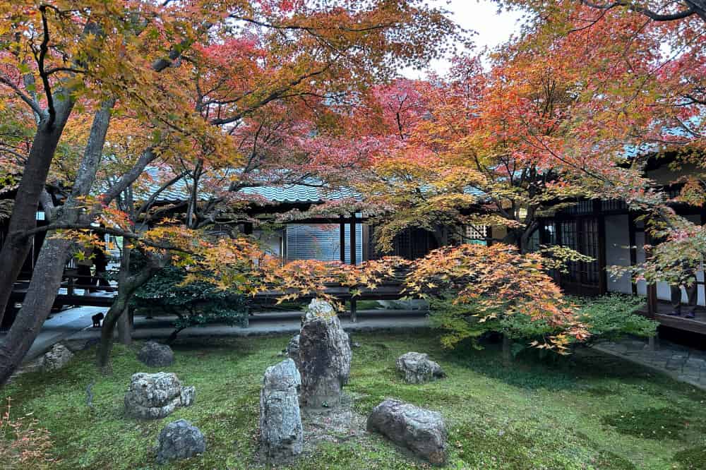 建仁寺の中庭。紅葉と石が配置された落ち着いた空間