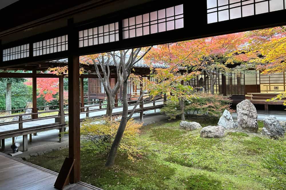 建仁寺の苔庭。静かな中庭と回廊が広がる禅寺の空間