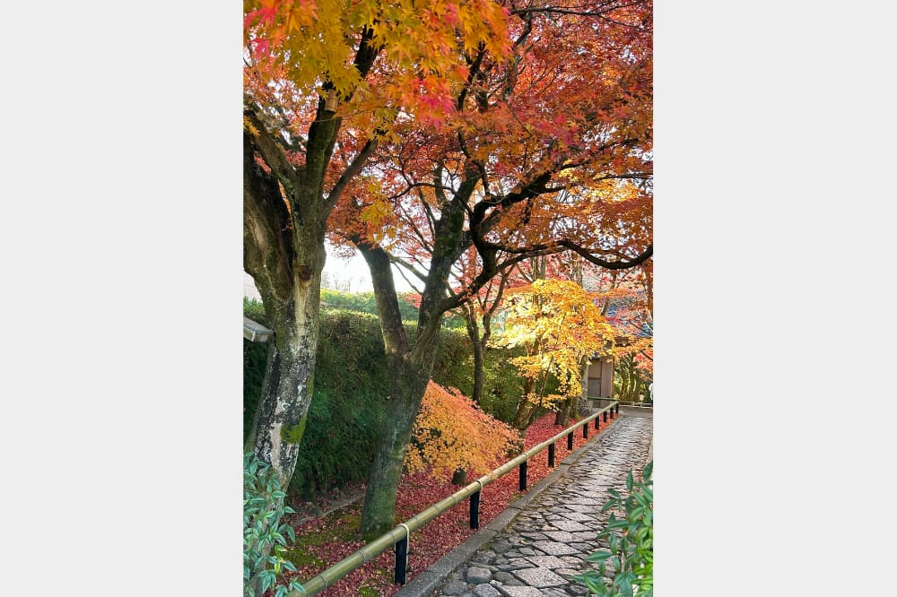 光悦寺参道の写真