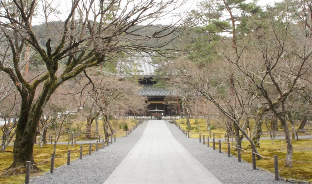 山門から法堂へ続く道の写真