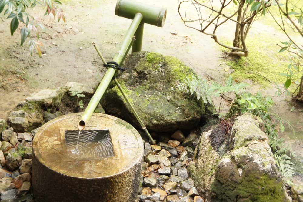 龍安寺蹲踞（つくばい）の写真