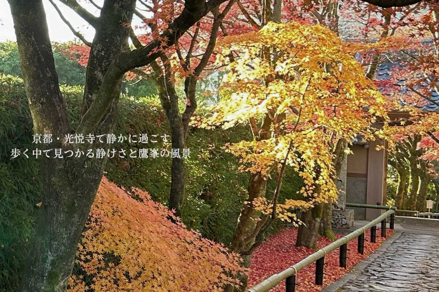 光悦寺のアイキャッチ画像