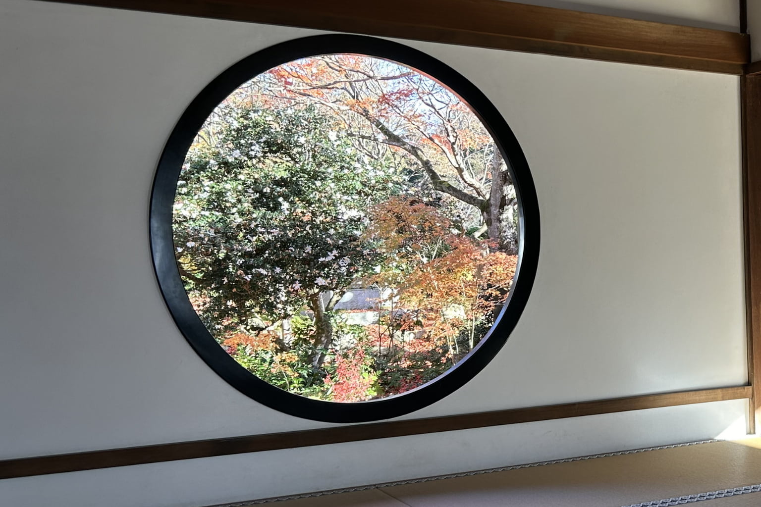 源光庵｜散り紅葉の丸窓画像
