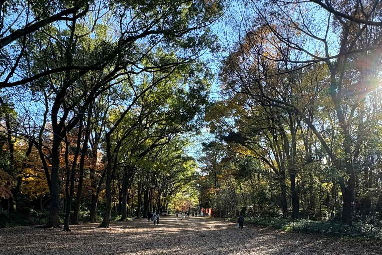 京都静けさの違い記事のアイキャッチ画像