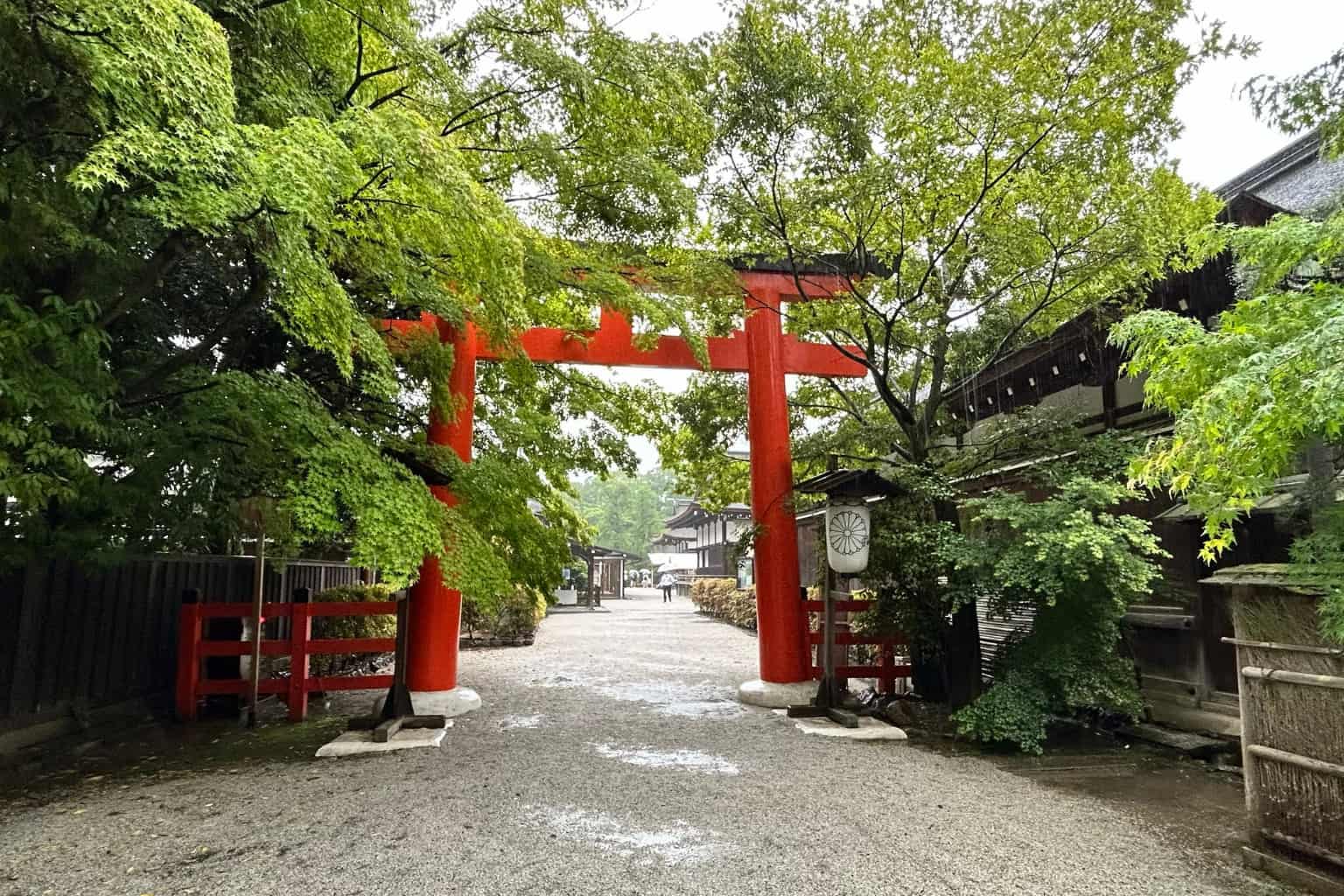 下鴨神社記事のアイキャッチ画像