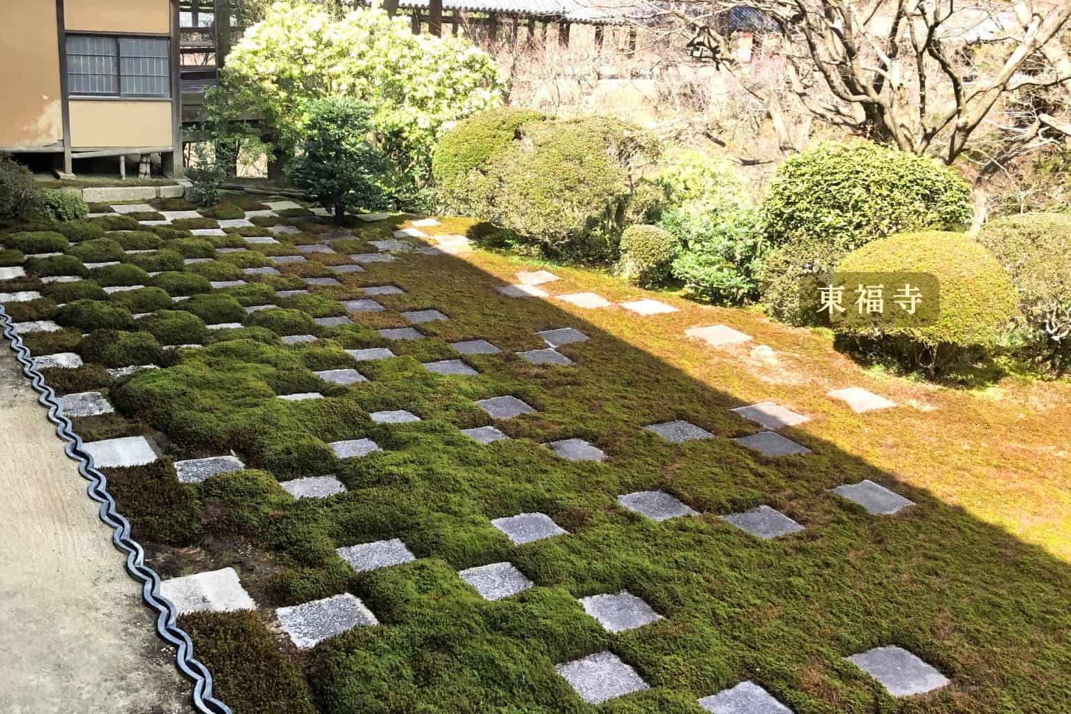 東福寺記事のアイキャッチ画像